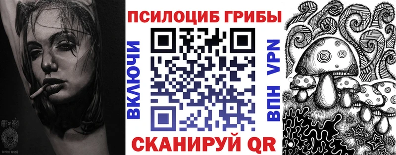 Галлюциногенные грибы Psilocybine cubensis  Кировград 